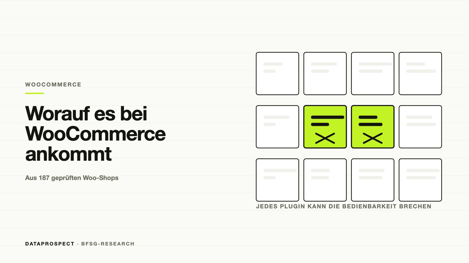 Raster aus zwölf WooCommerce-Plugin-Kacheln, zwei davon als Konflikt markiert.